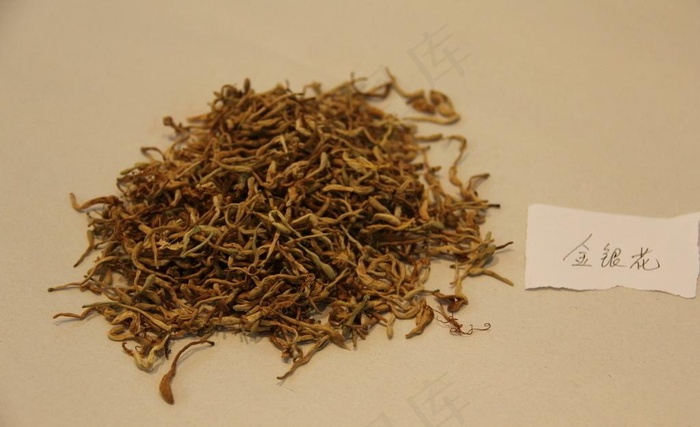 中药饮片金银花图片