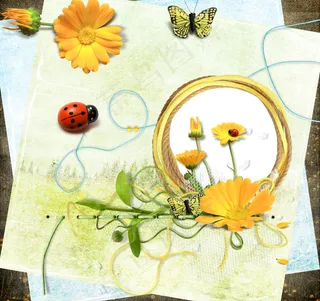 花朵瓢虫蝴蝶相框图片