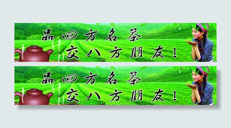 绿色茶园图片