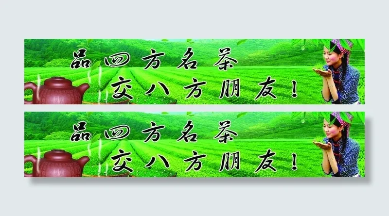 绿色茶园图片