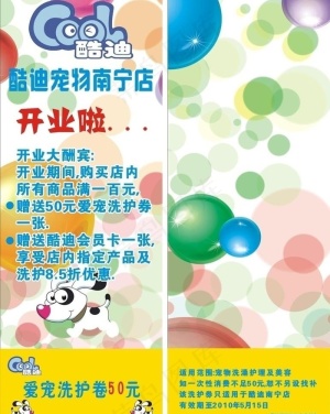 酷迪宠物图片