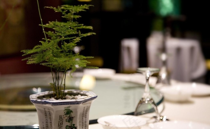 餐桌绿植图片