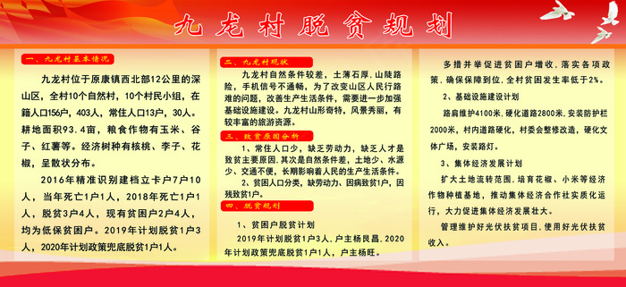 九龙村脱贫规划0