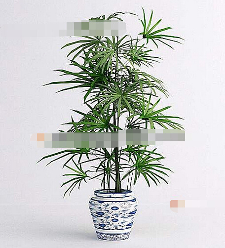 盆栽花草3d模型下载
