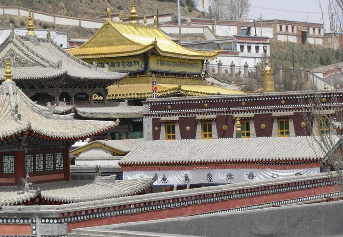 塔尔寺小金瓦殿图片