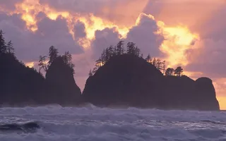 大尺寸奥林匹克国家公园自然风景图片