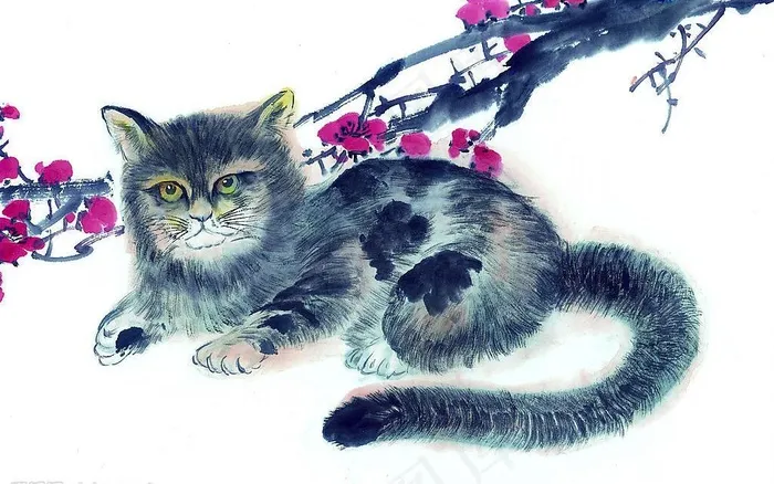 中国画--猫(51张)图片