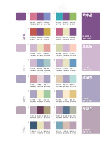 配色方案兰花色