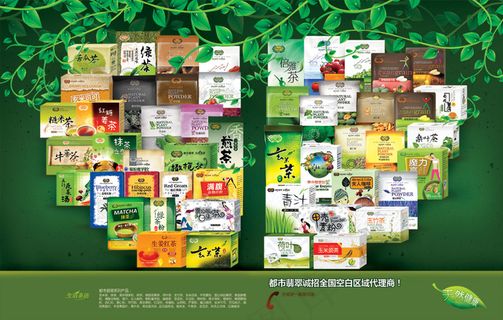 养生茶招商海报PSD分层模板