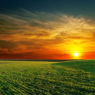 夕阳下的绿草图片 夕阳下的绿草图片