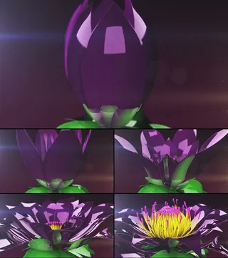 3D荷花开花动画高清视频