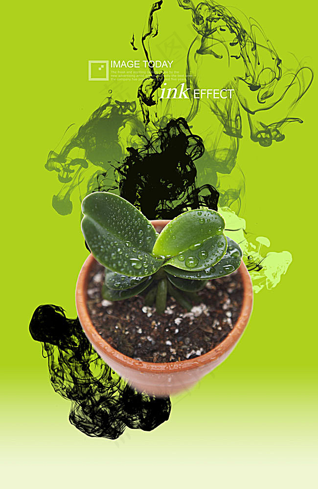 植物盆景psd模版下载