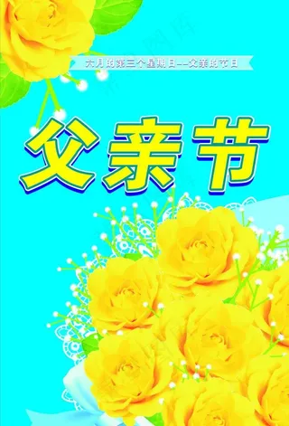 黄玫瑰 满天星图片