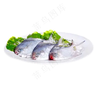 生鲜鲳鱼实拍PNG免抠图片下载