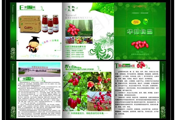山茱萸 三折页 包装设计图片cdr矢量模版下载