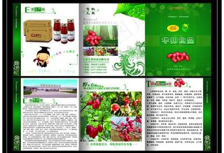 山茱萸 三折页 包装设计图片