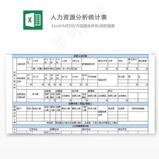 人力资源分析统计表
