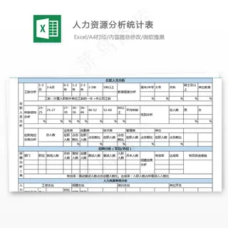 人力资源分析统计表