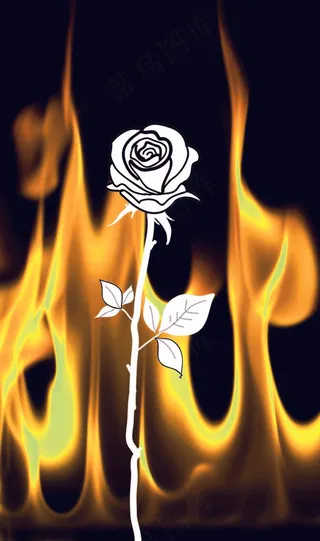 矢量图ai原创植物花