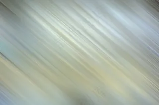 老式的模糊速度的影响