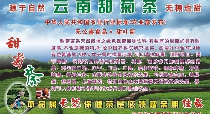 云南甜菊茶图片(210X297)cdr矢量模版下载
