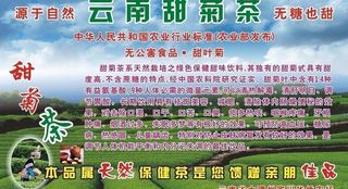 云南甜菊茶图片