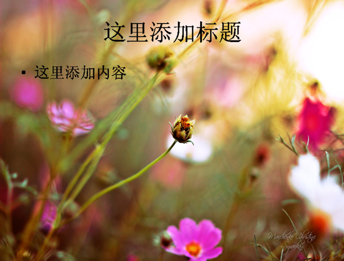 寻梦园中的梦幻花卉高清PPT桌面...