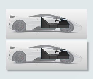 谢尔比新西兰大蜥蜴的概念内部马特-...