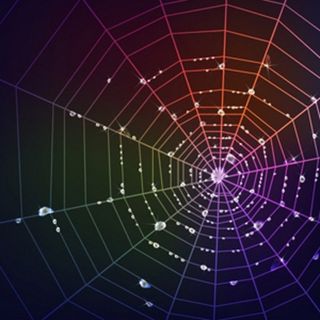 丰富多彩的蜘蛛网图背景