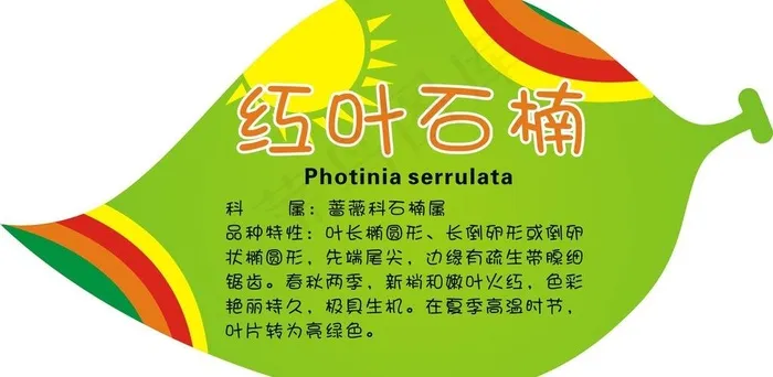 树木挂牌吊牌图片cdr矢量模版下载