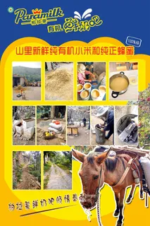 柏拉蒙有机鲜奶吧 柏拉蒙有机鲜奶吧