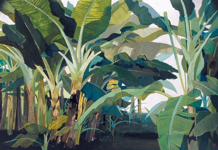 晚霞中的芭蕉园图片