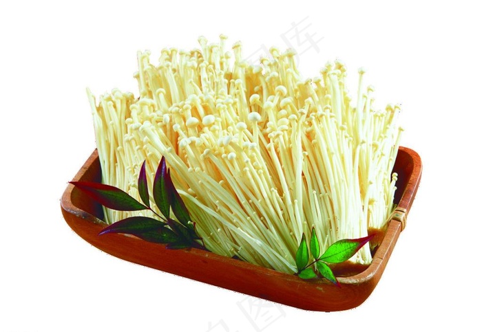 杏鲍菇（扣图）图片