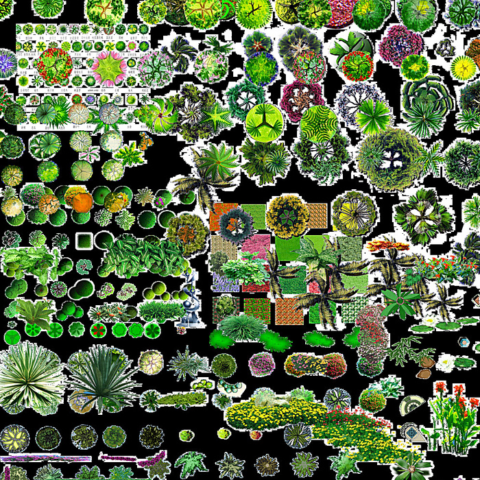 彩平树草分层合集图片