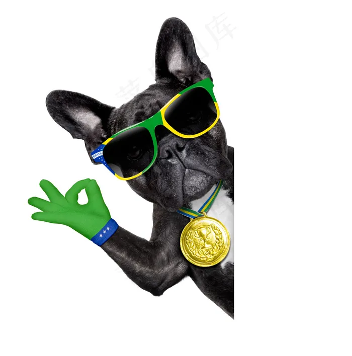 戴墨镜的世界杯动物图片
