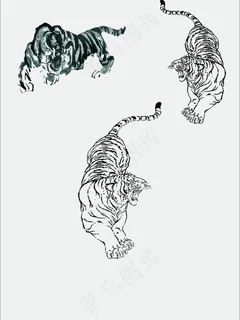 矢量图老虎图片