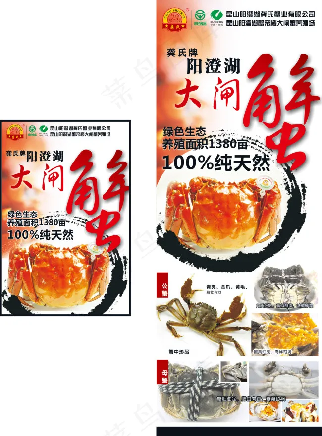 大闸蟹海报矢量图cdr矢量模版下载