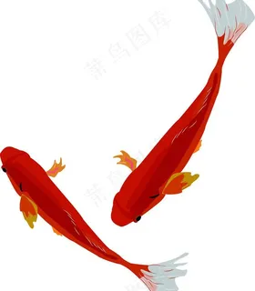 矢量AI 鱼图片