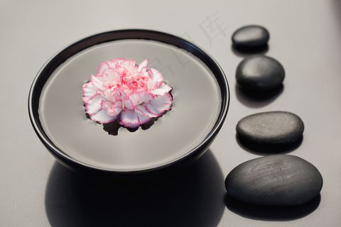 禅意花朵 禅意花朵