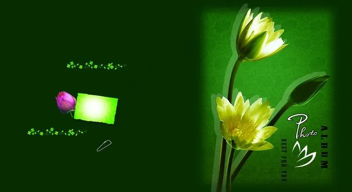 浪漫 温馨 花纹背景图片