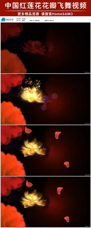 中国红莲花花瓣飞舞led背景视频素... 中国红莲花花瓣飞舞led背景视频素...