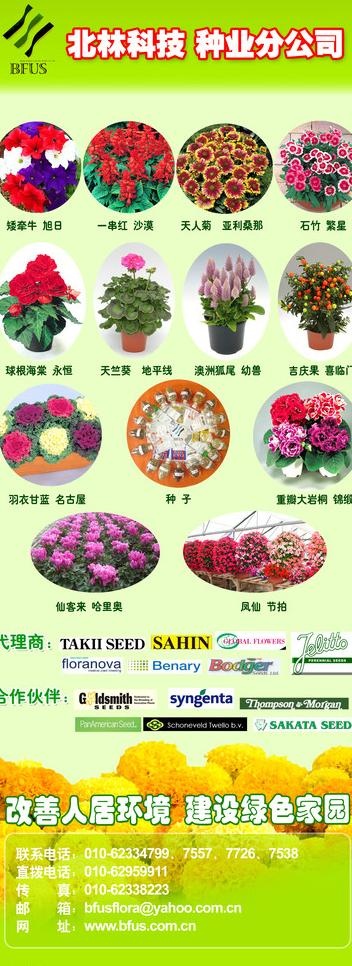 花卉 展览图片(2362X5906(DPI:75))psd模版下载
