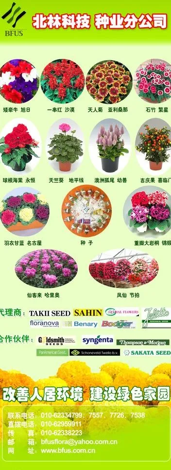 花卉 展览图片(2362X5906(DPI:75))psd模版下载