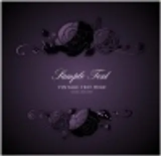 紫色玫瑰花纹花边矢量图