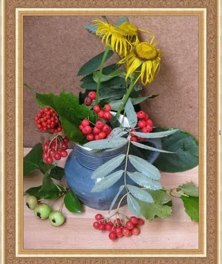 艺术花卉摄影图片