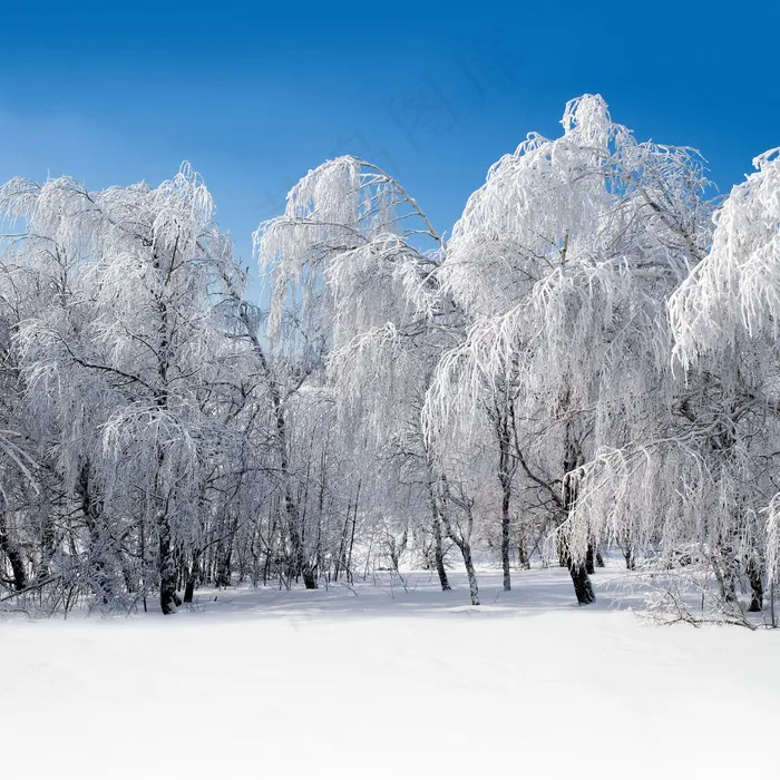 冬天积雪美景