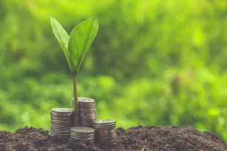 金币嫩芽小树苗孵化培育理财商务金融财富主题素材