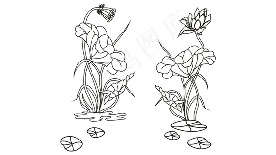 荷花矢量图图片