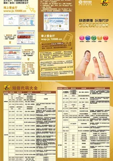 e100电子化自助服务三折页图片