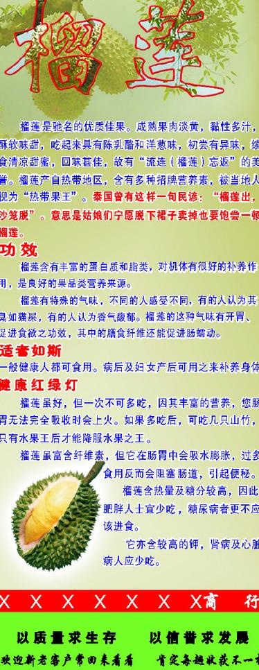 水果健康知识(榴莲)图片cdr矢量模版下载